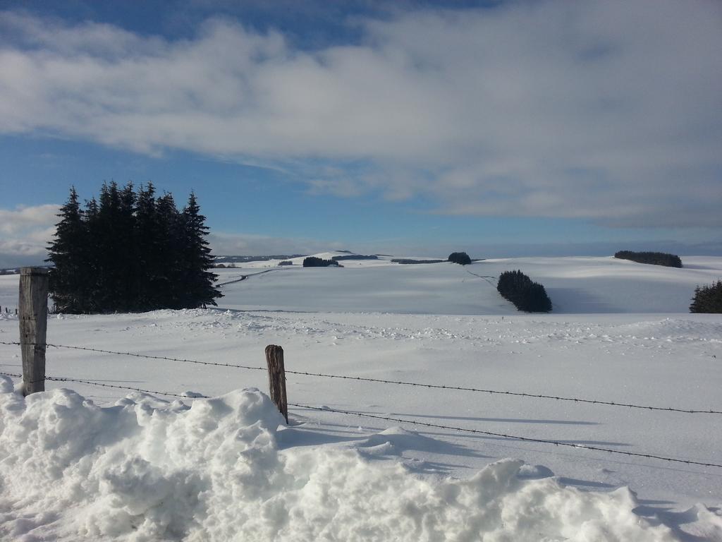 Domaine De L'Ours / Camping Lodge Saint-Urcize Esterno foto