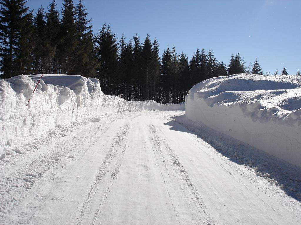 Domaine De L'Ours / Camping Lodge Saint-Urcize Esterno foto