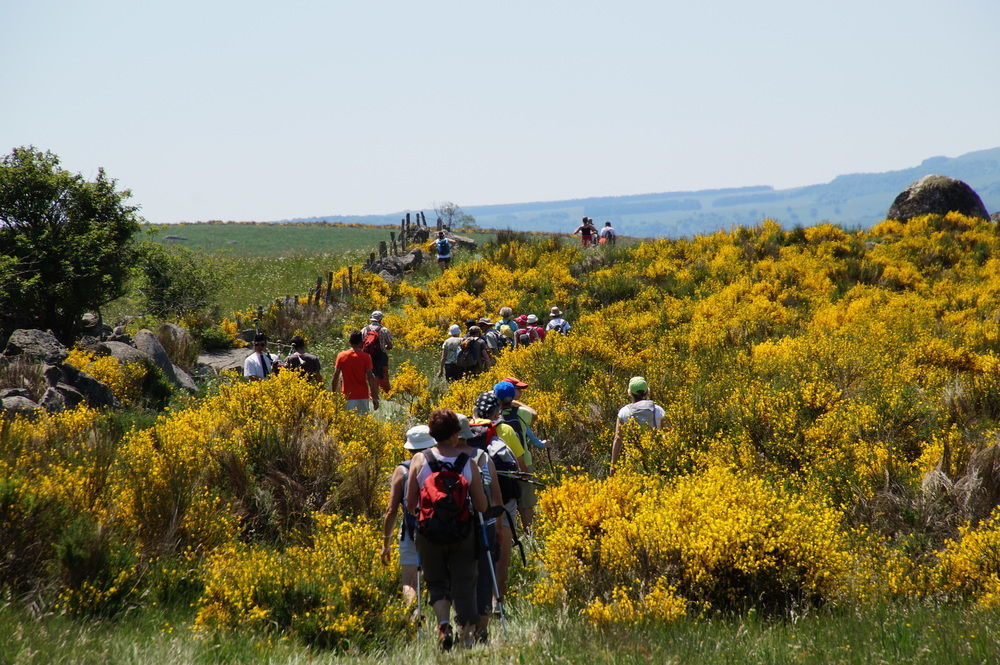 Domaine De L'Ours / Camping Lodge Saint-Urcize Esterno foto